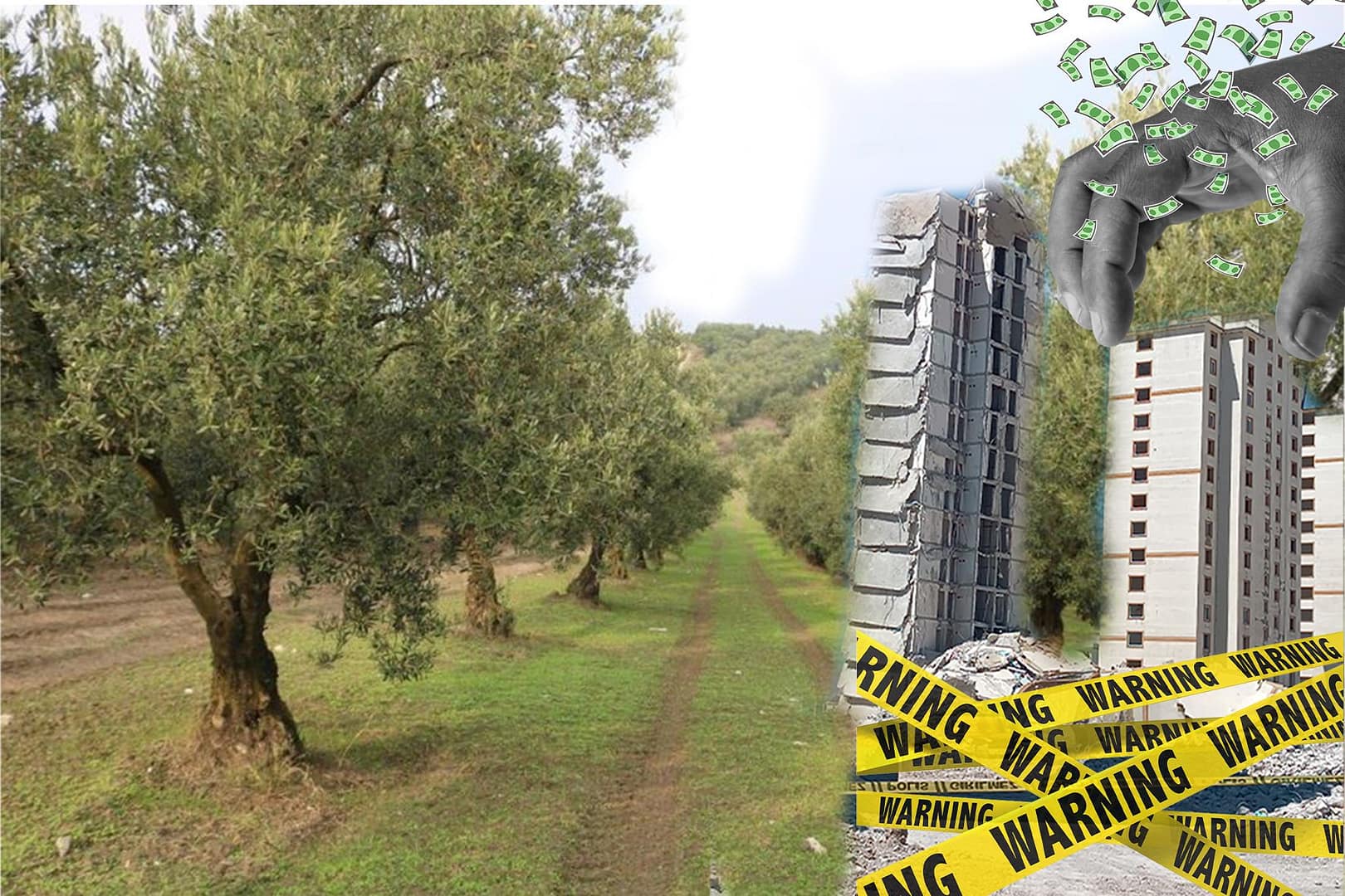 kartpostallar_Sayfa_08