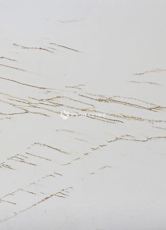 THASSOS SPIDER
