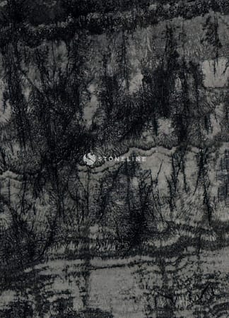 DECEMBER FOREST