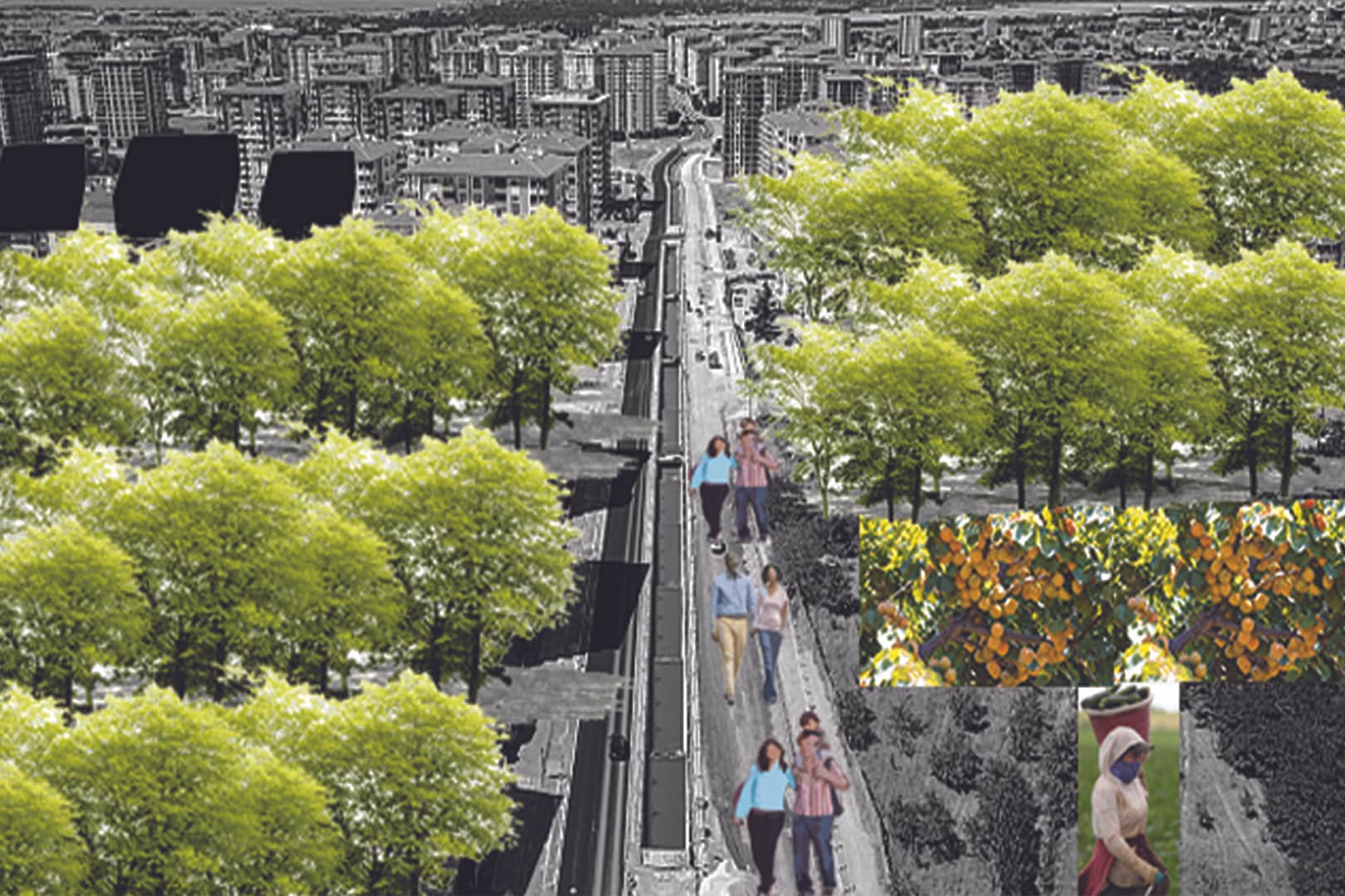 kartpostallar_Sayfa_22