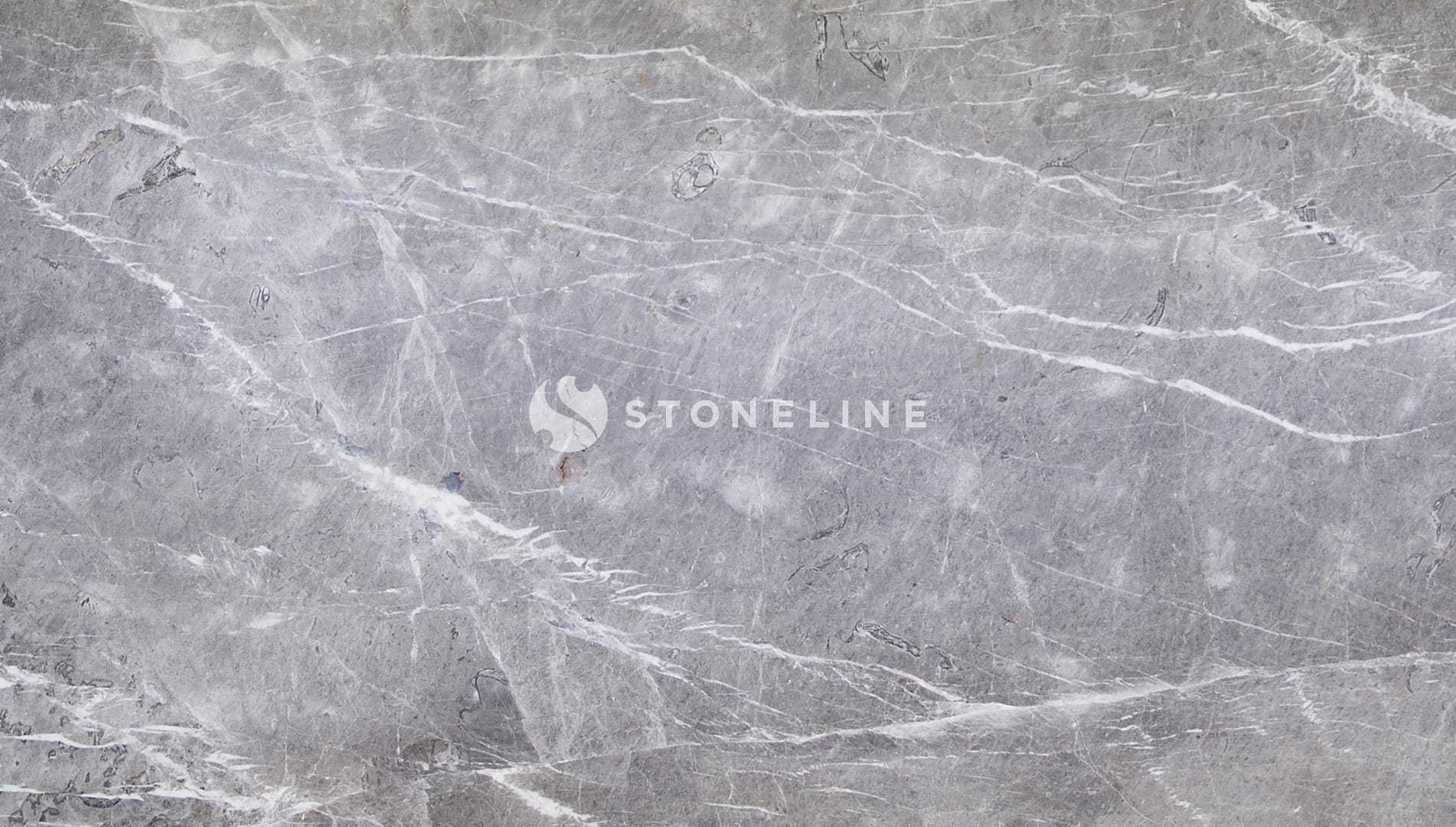 Gray marble texture with visible veins
