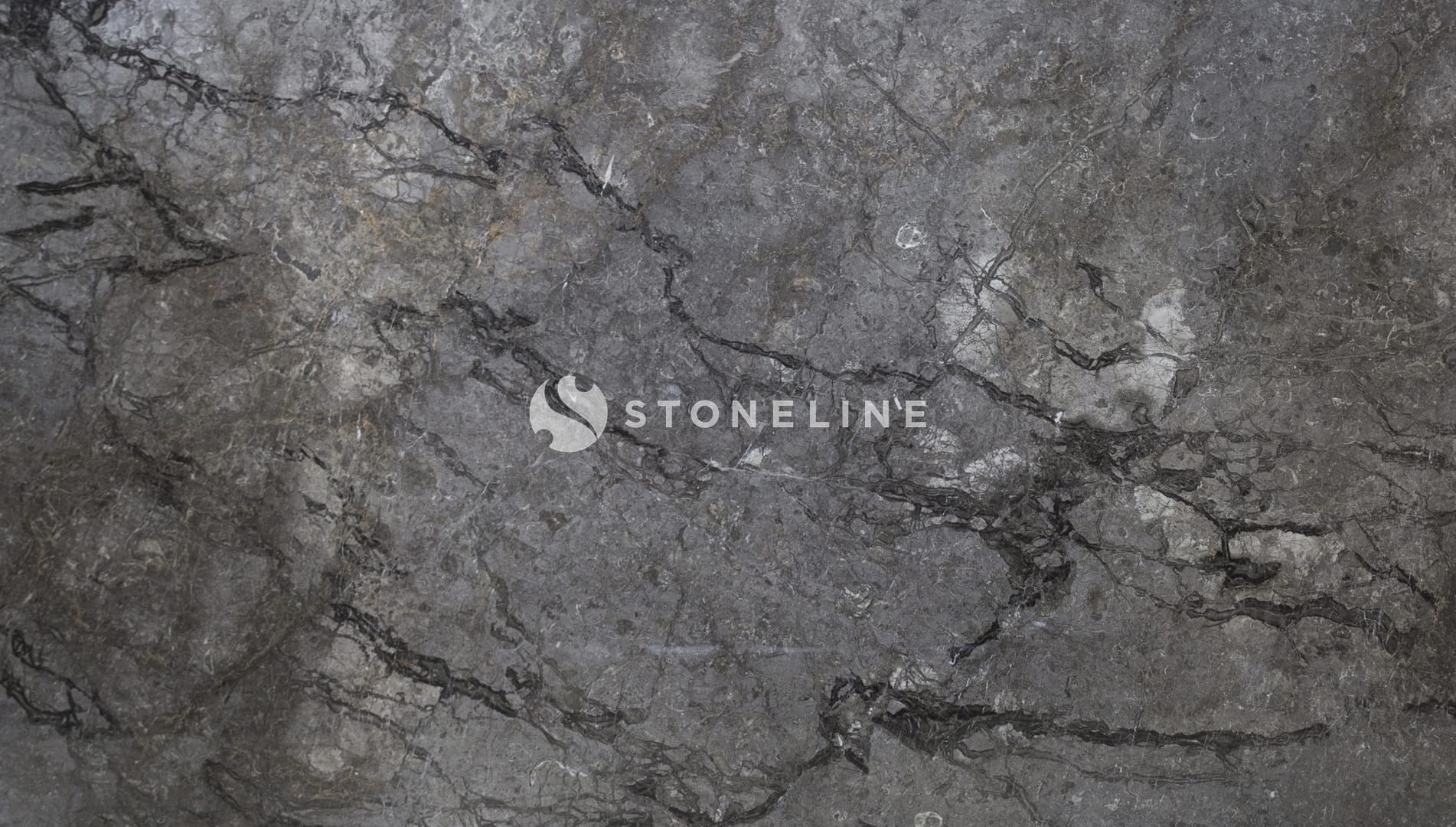 Gray marble texture with dark veins.