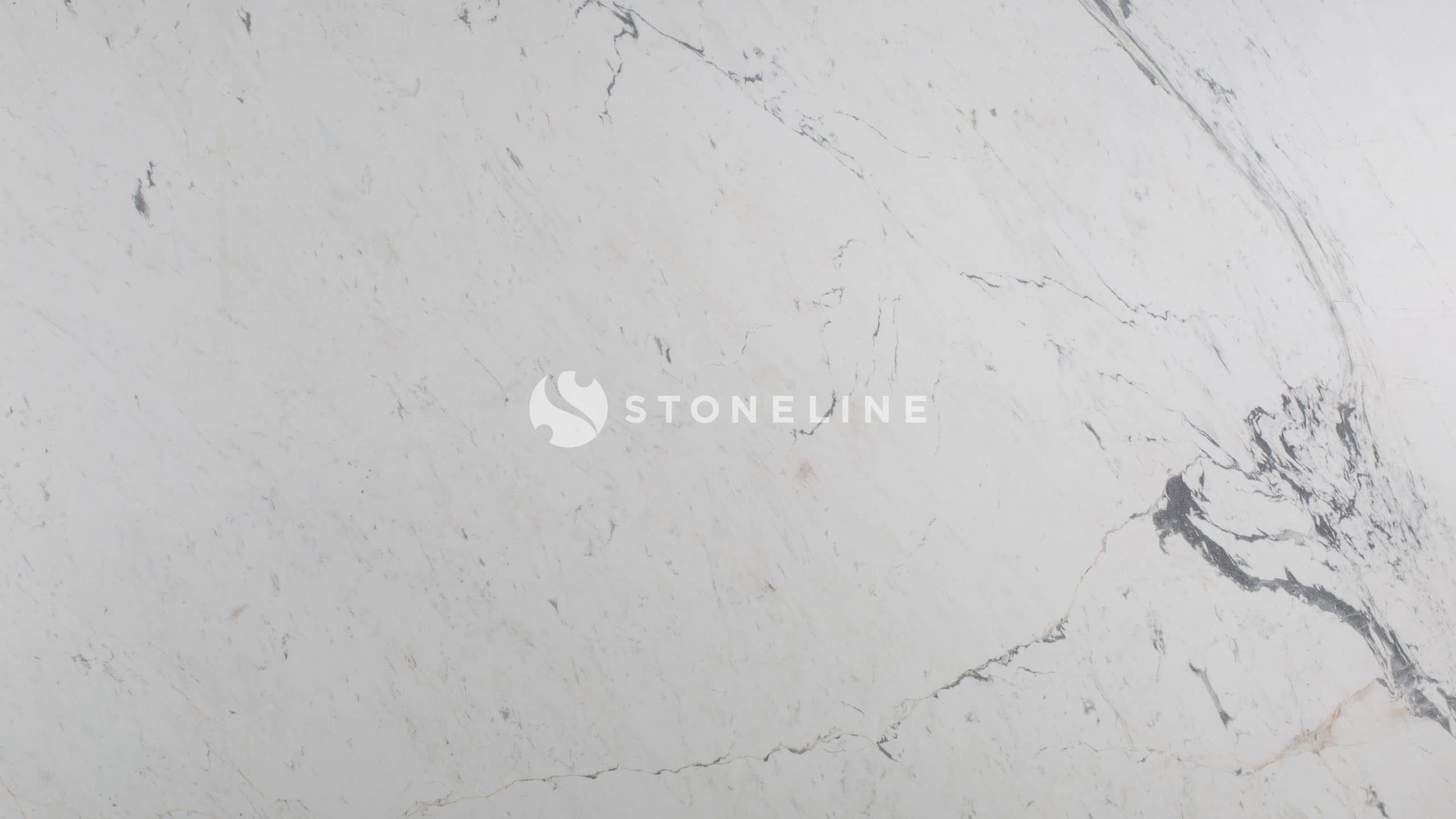 White marble texture with gray veining