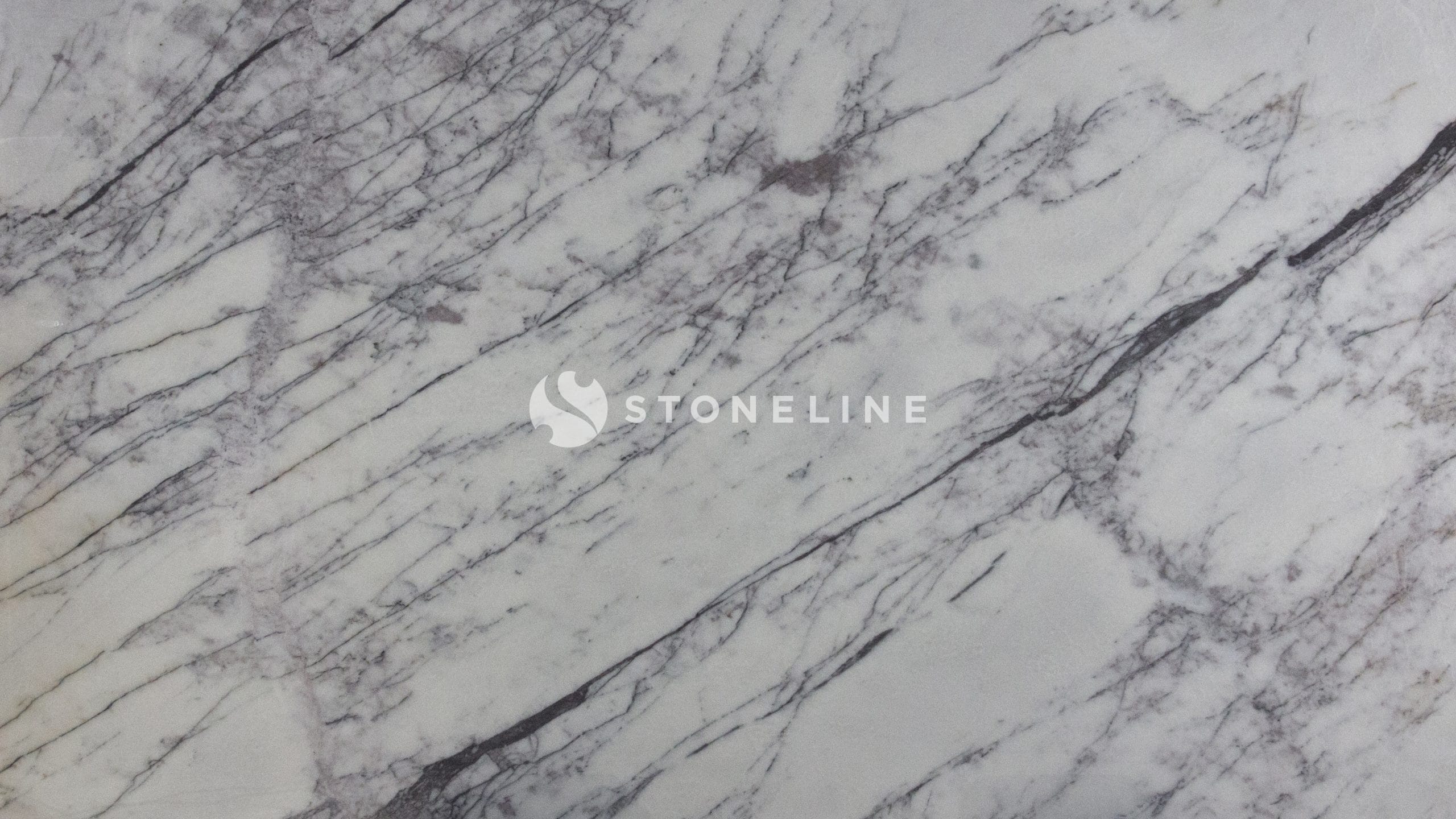White marble texture with gray veins