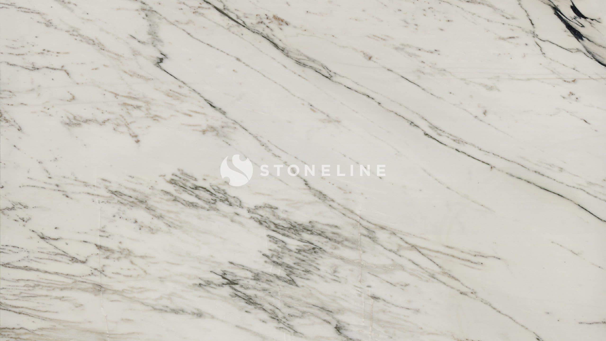 White marble texture with gray veins