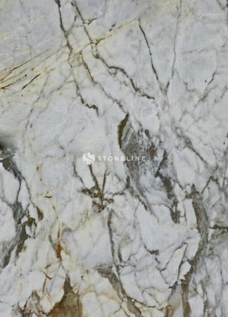 Marble surface with gray veins and white background.