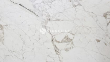 Close-up of white marble texture with veins.
