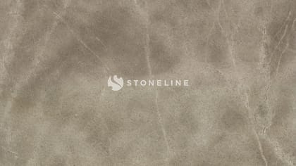 Detailed stone texture with natural patterns